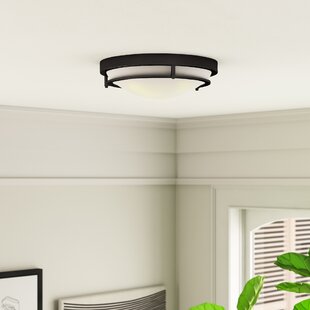 Bathroom flush discount mount light